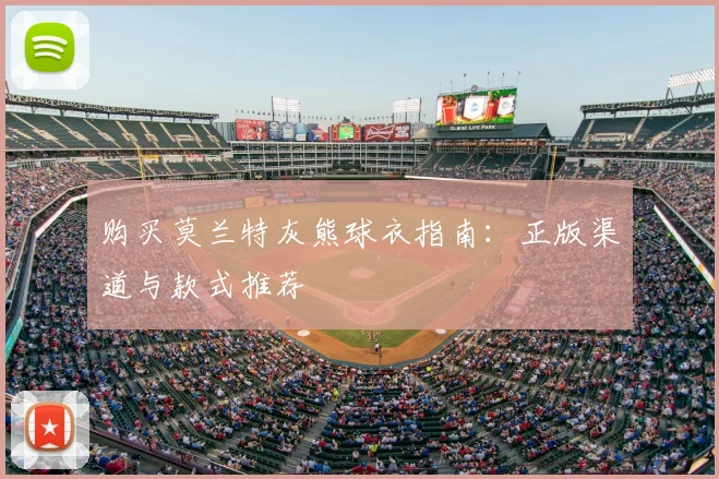 购买莫兰特灰熊球衣指南:正版渠道与款式推荐